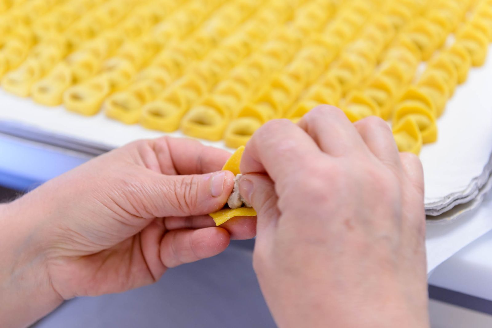 Lavorazione della pasta fresca emiliana — DSC0142