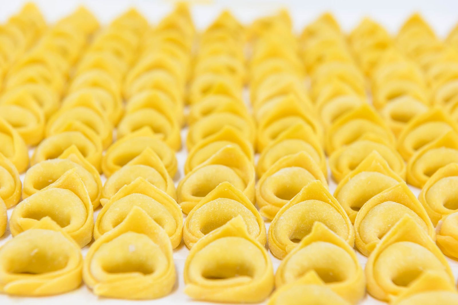 Lavorazione della pasta fresca emiliana — DSC0152