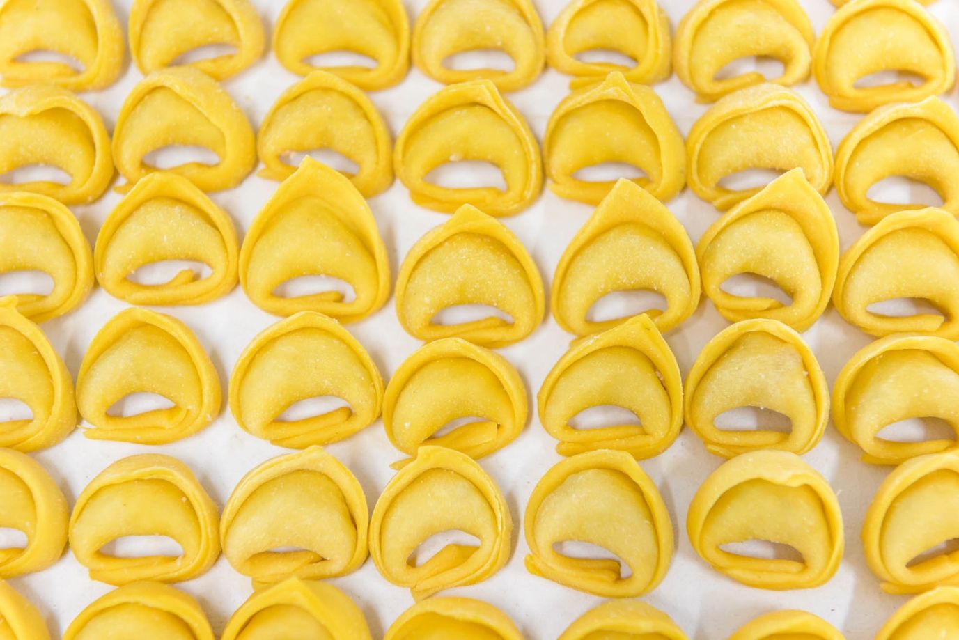 Lavorazione della pasta fresca emiliana — DSC0153