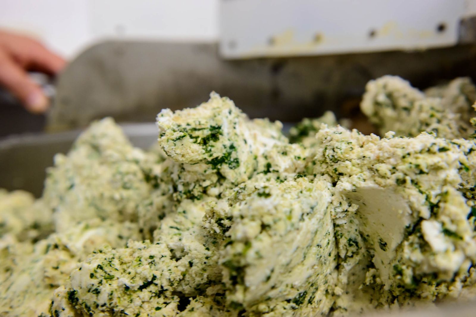 Lavorazione della pasta fresca emiliana — DSC0289