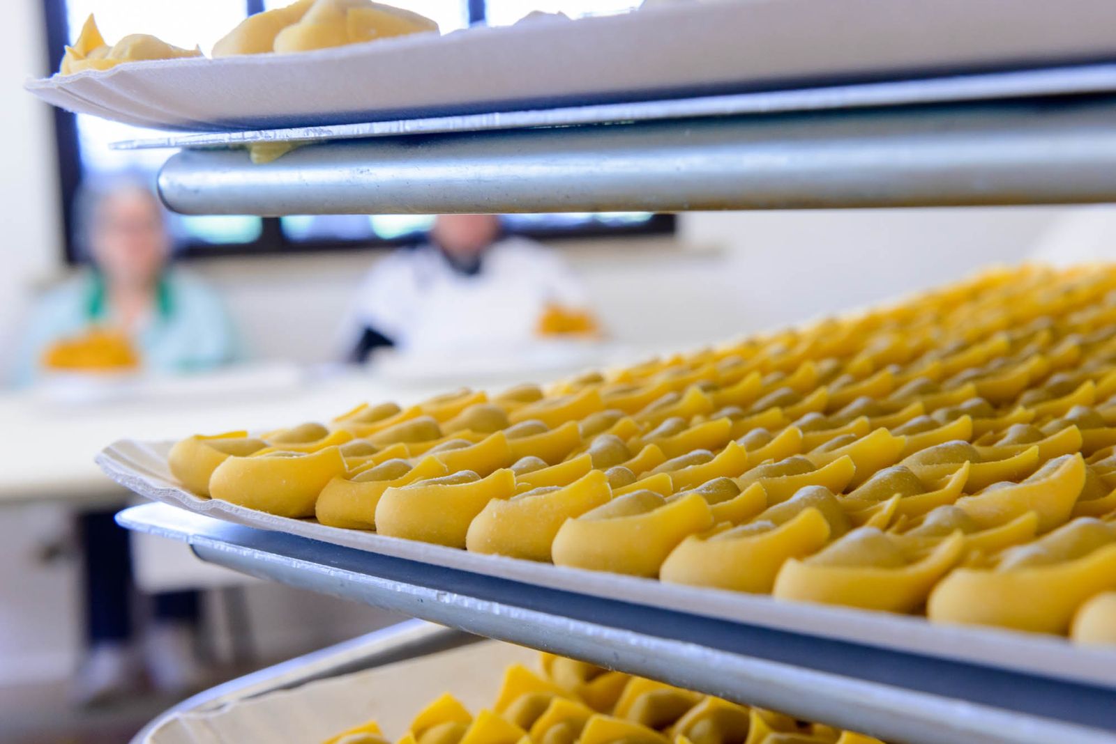 Lavorazione della pasta fresca emiliana — DSC0425