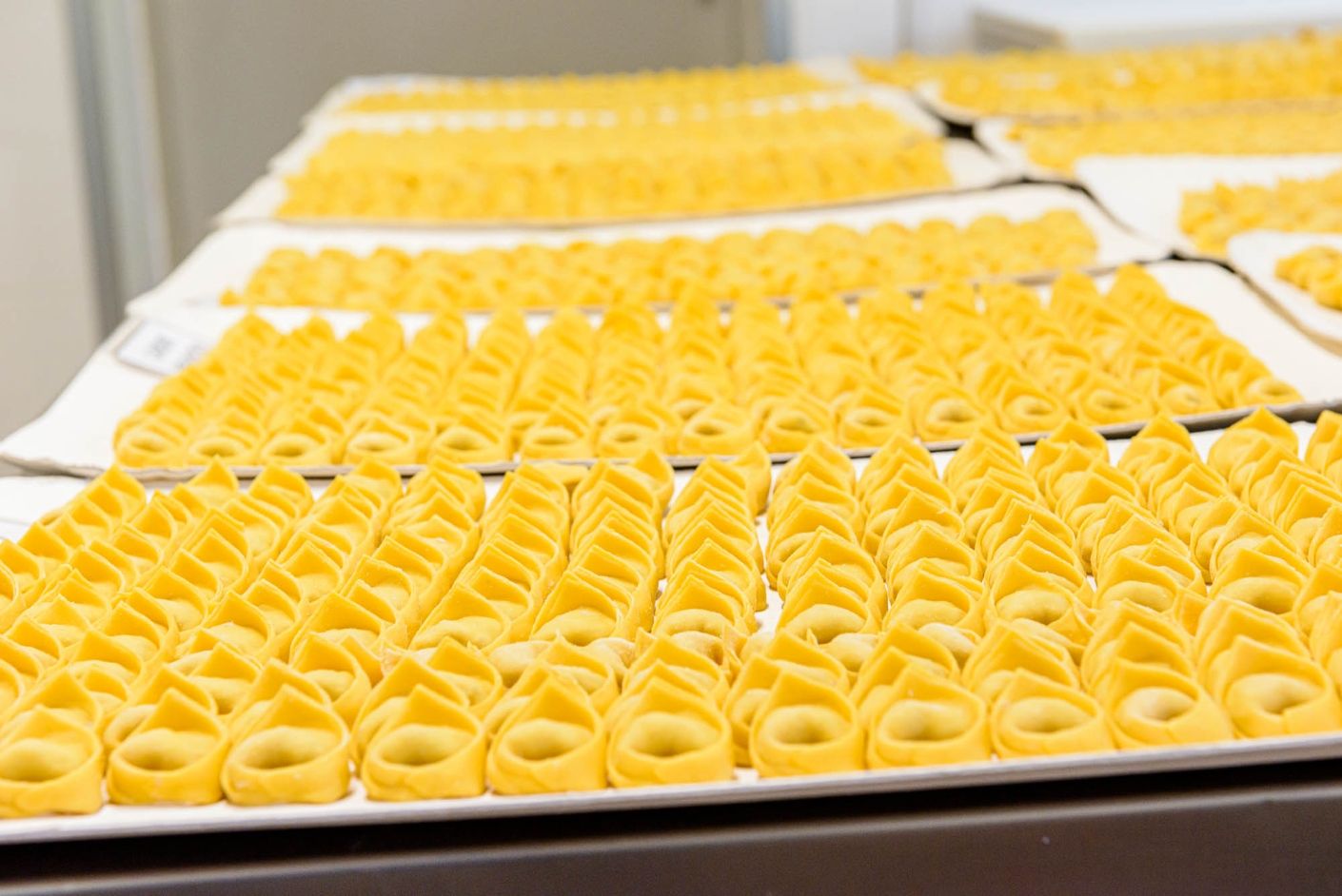 Lavorazione della pasta fresca emiliana — DSC0500
