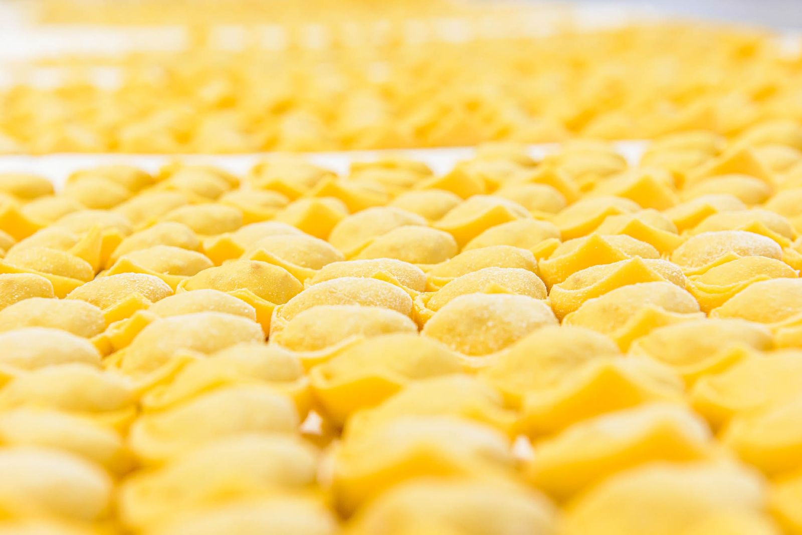 Lavorazione della pasta fresca emiliana — DSC0505