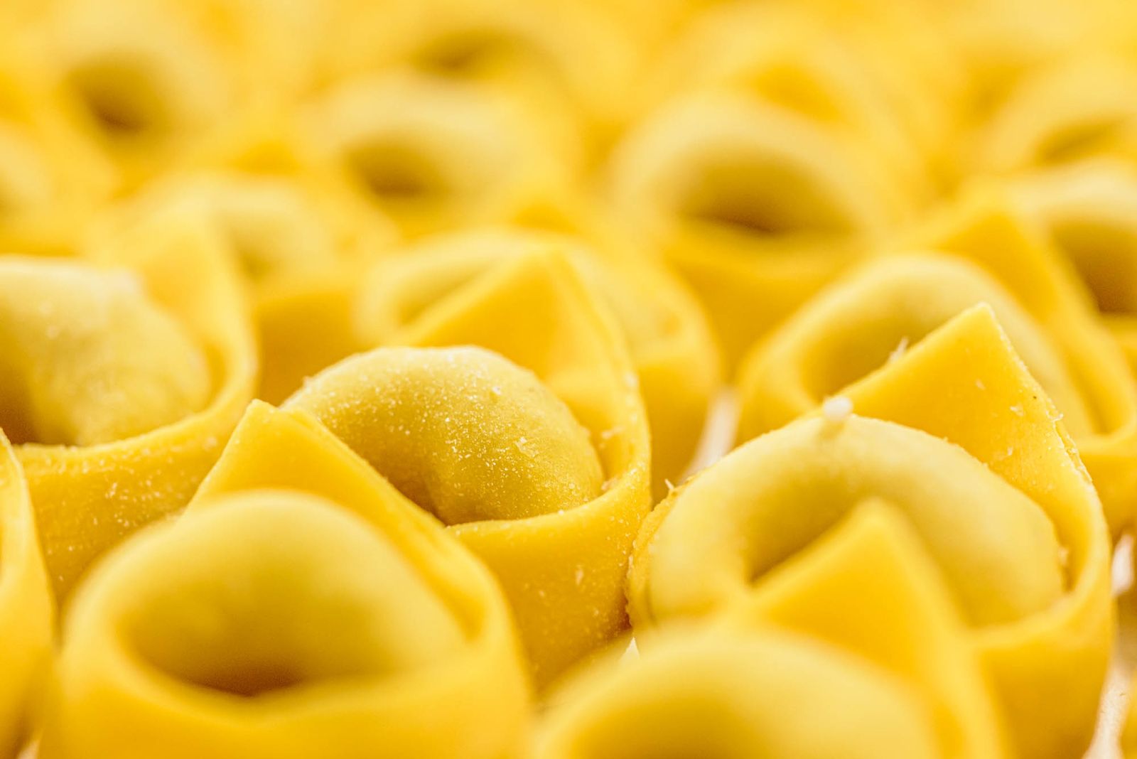 Lavorazione della pasta fresca emiliana — DSC0522