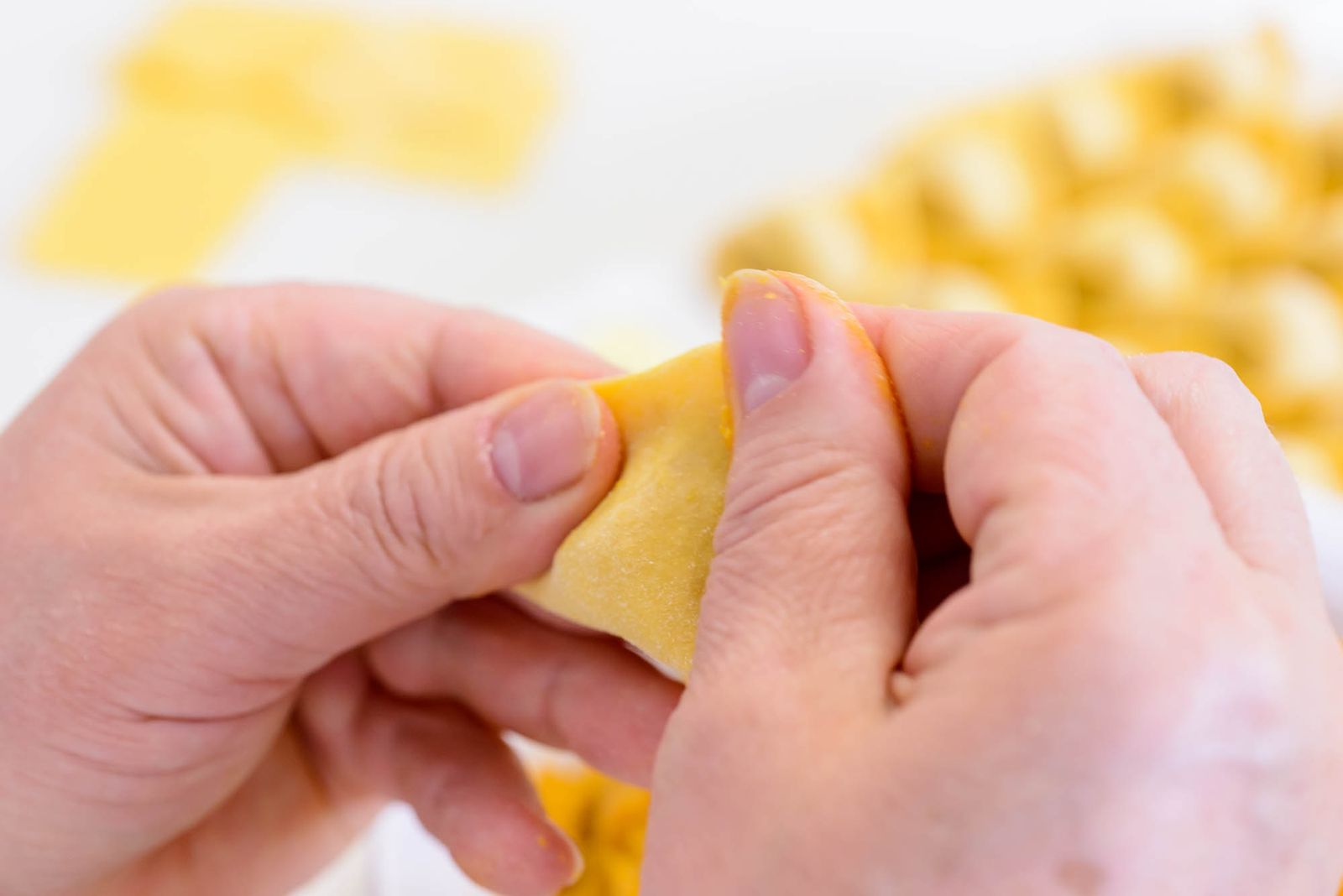 Lavorazione della pasta fresca emiliana — DSC0546