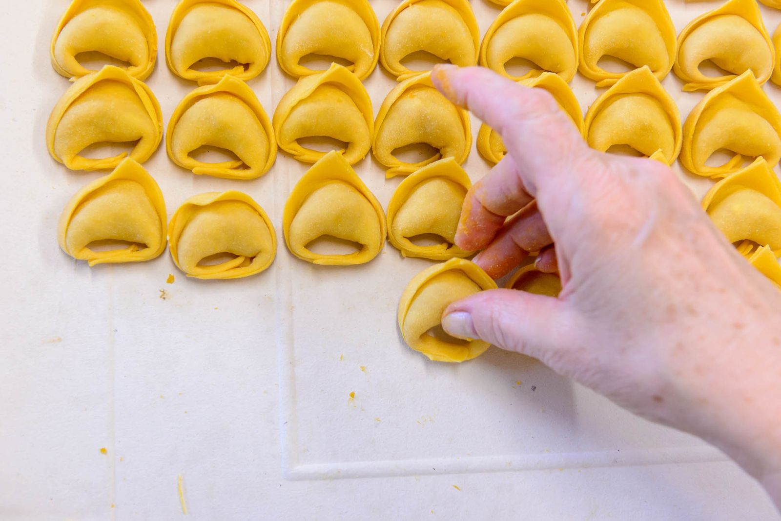 Lavorazione della pasta fresca emiliana — DSC0557