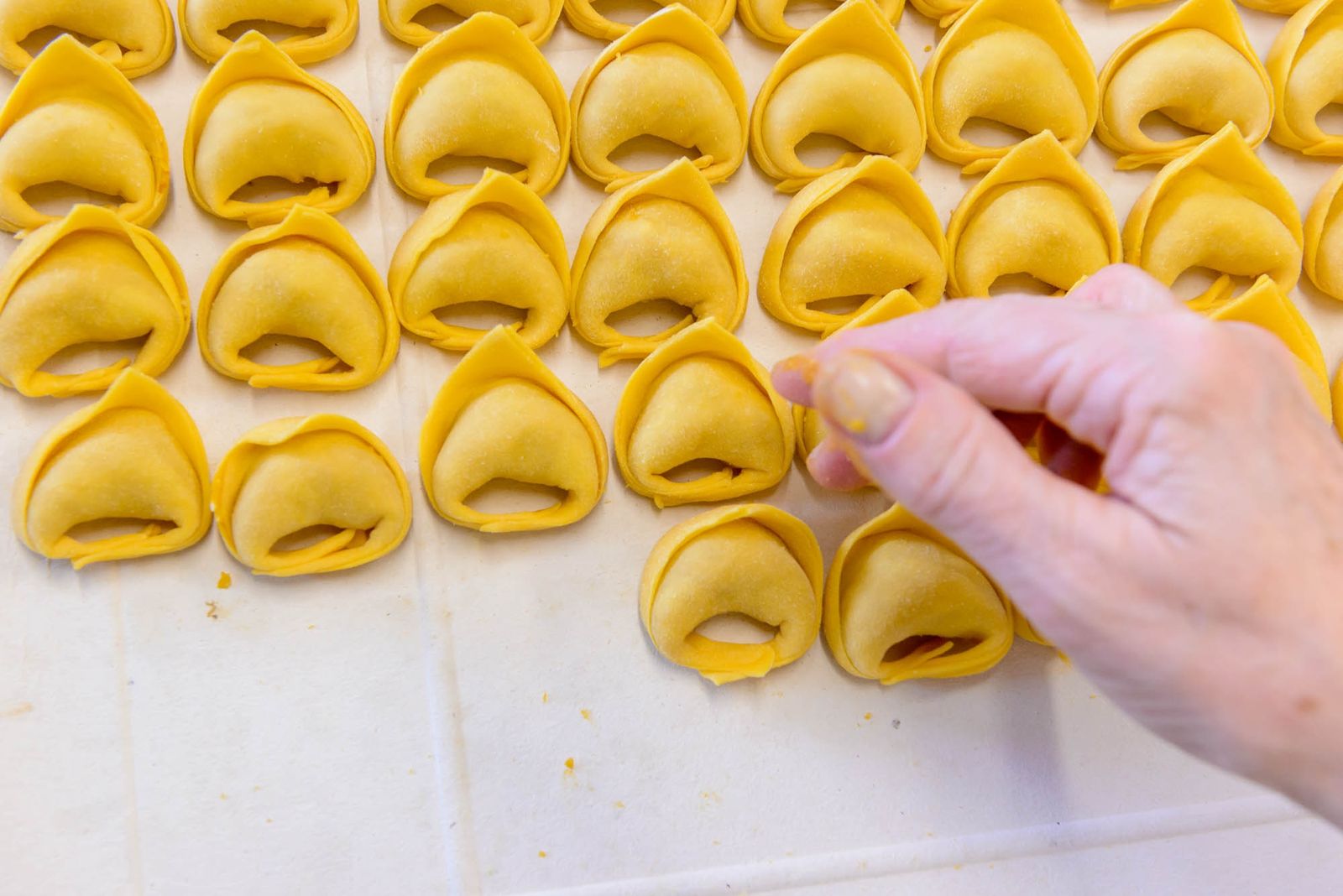 Lavorazione della pasta fresca emiliana — DSC0564